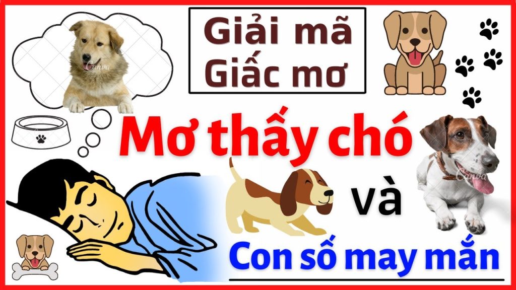 Nằm mơ thấy chó đánh con gì